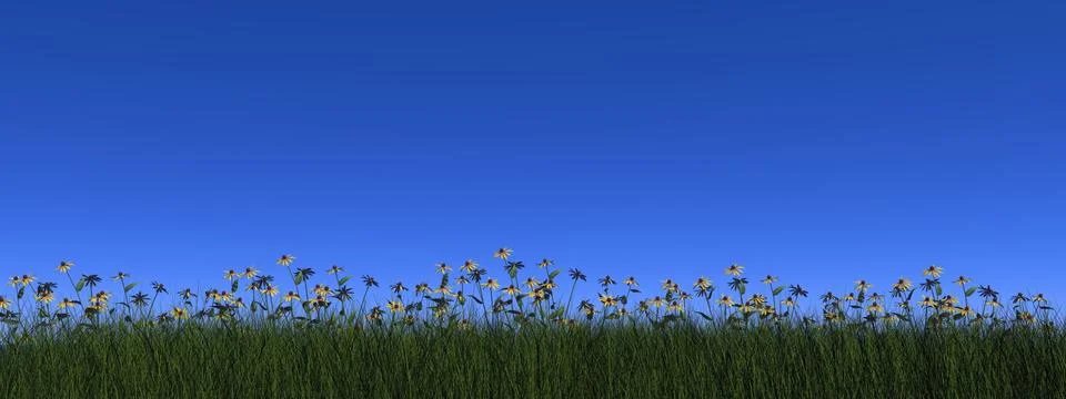 Grass and daisy - 3D render Stock Illustration