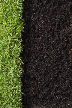 Grass and dirt Stock Photos