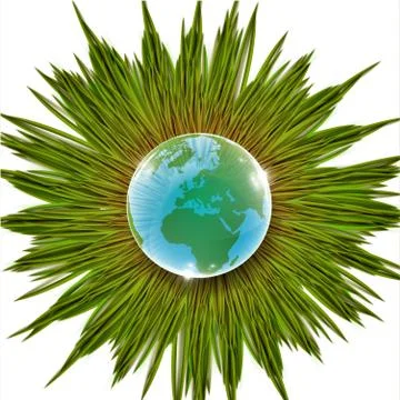 Grass and Earth vector illustration Stock Illustration
