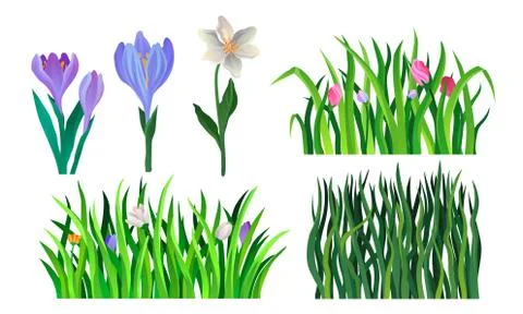 Grass And Flower Elements For Decoration. Vector Illustrated Set Stockillustratie