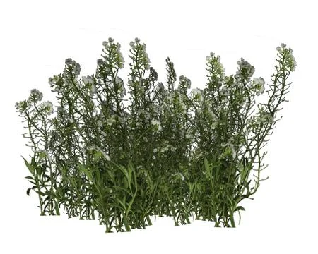 Grass and flowers - 3D render Stock Illustration