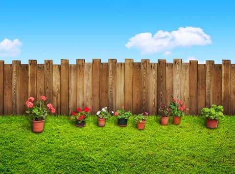 Grass and flowers at backyard Stock Photos