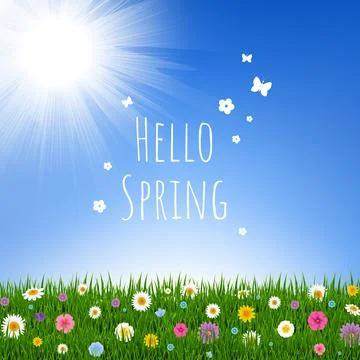 Grass And Flowers Border Stock Illustration