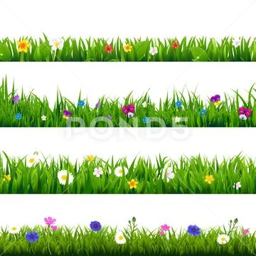 Grass And Flowers Border Set Stock Illustration