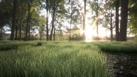 Grass and forest landscape Illustrazione stock