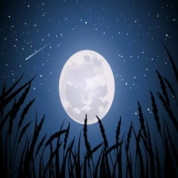 Grass and full moon Stock Illustration
