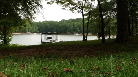 Grass and lake Stock Footage 84117072