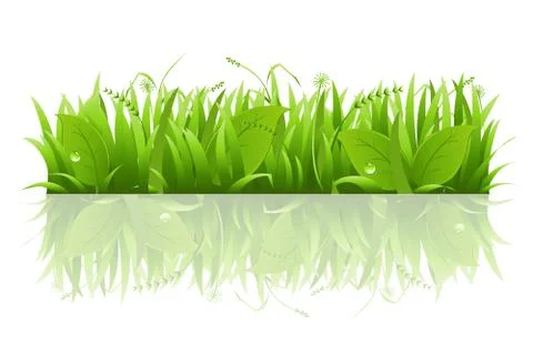Grass and leafs Stock Illustration