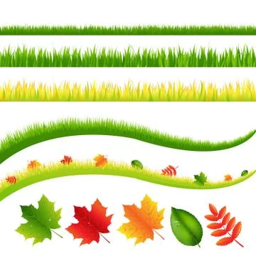 Grass and leaves Stock Illustration