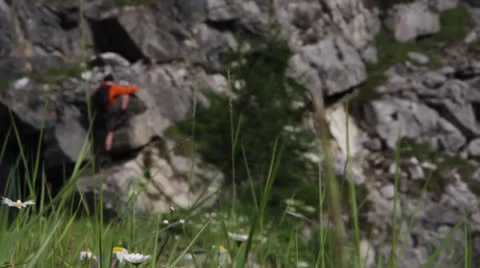 Grass and man Stock Footage 23569013