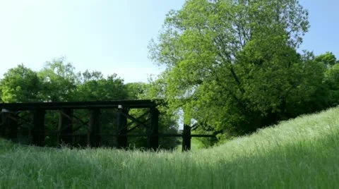 Grass and Meadow by a Bridge Stock Footage 49461910