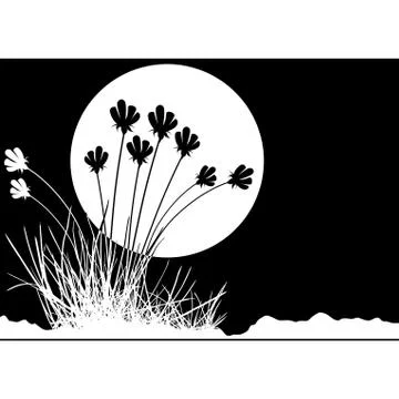 Grass And Moon Stock Illustration