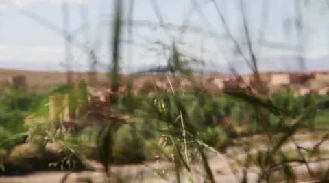 Grass and a Moroccan City Vidéo 52933954