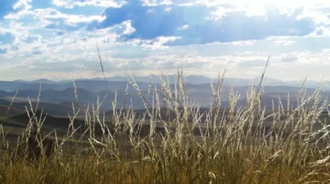 Grass and Mountains Stock Footage 22779322