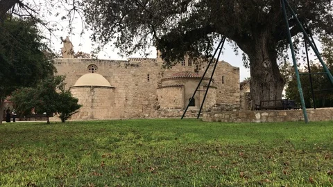 Grass and Old Tree Against Old Church at Background Stock Footage 100595604