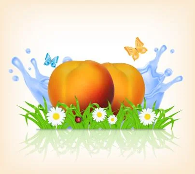 Grass and peach Stock Illustration