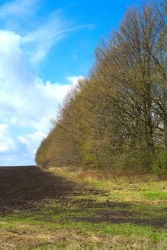 Grass and a plowed field bordered by rows of trees. Blue sky Stock Photos