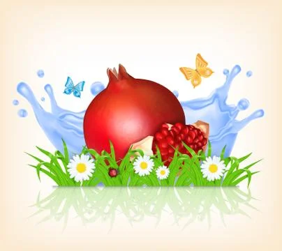 Grass and pomegranate Stock Illustration