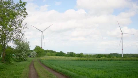 Grass and Rape field in front of small windpark wind turbines Stockbeeldmateriaal 232018222