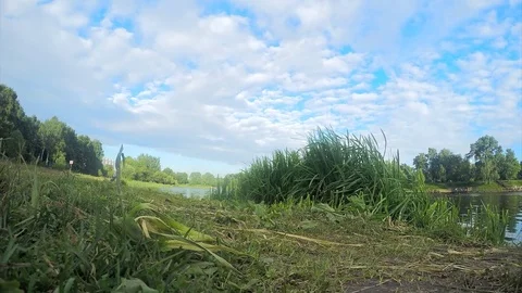 Grass and river in the park timelapse Stock Footage 82985144