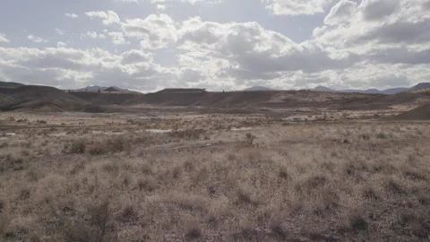 Grass and sagebrush in expansive high desert landscape, eastern oregon Stock Footage 332237865