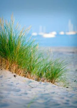 Grass and sand.gn Stock Photos