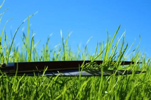 Grass and scissors in front of the blue sky Stock Photos