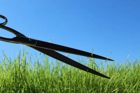 Grass and scissors in front of the blue sky Stock Photos