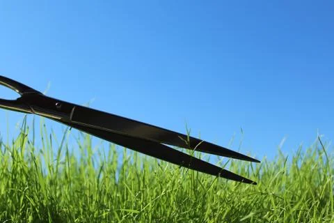 Grass and scissors in front of the blue sky Stock Photos