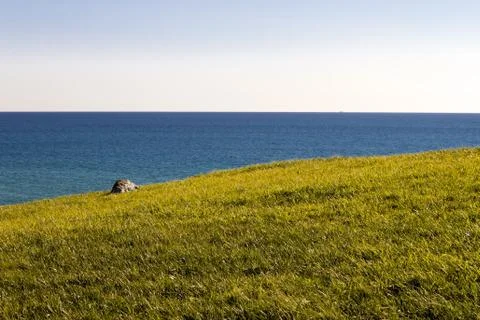 Grass and sea. Stock Photos