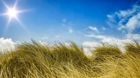 Grass and sky background Stock Photos