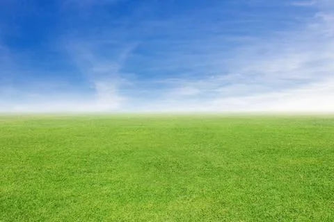Grass and sky background Stock Photos