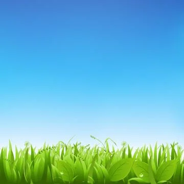 Grass and sky Stock Illustration