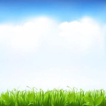 Grass and sky Stock Illustration