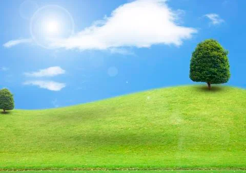 Grass and sky Stock Illustration