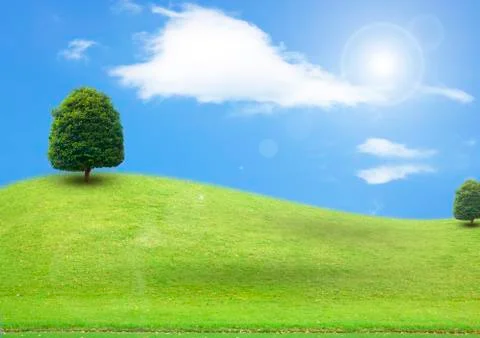 Grass and sky Stock Illustration