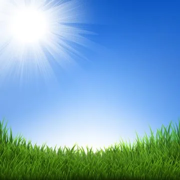 Grass And Sky Stock Illustration