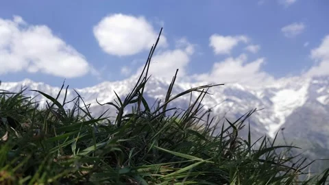 Grass and sky mountain Video stock 154757635