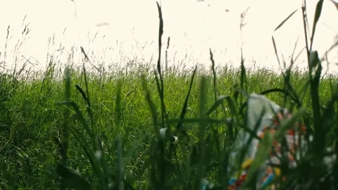 Grass and sky MVI 9341 420 Stock Footage 168023295