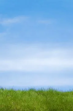 Grass and sky Stock Photos