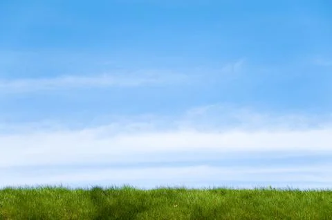 Grass and sky Stock Photos