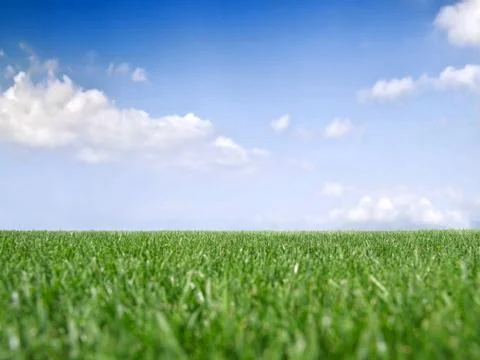 Grass and Sky Stock Photos