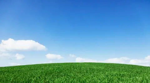 Grass and sky Stock-Fotos