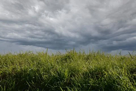 Grass and a sky with raining clouds Stock Photos