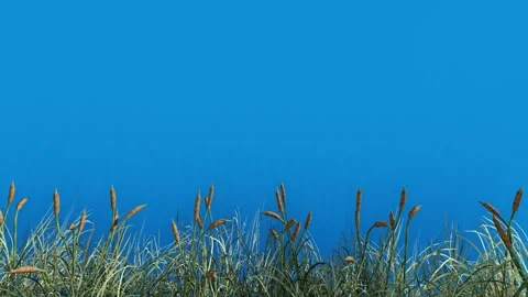 Grass and Sky Seamless Background Animation Stock Footage 320828465