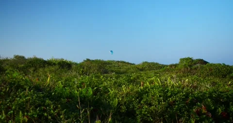 Grass and Sky With WindSurf in the Background Stock Footage 247336726