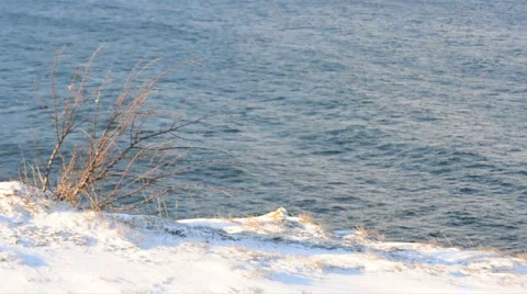 Grass And Snow Stock Footage 953853