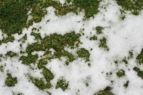 Grass and snow in spring Stock Photos
