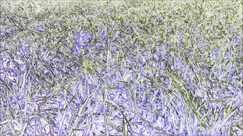 Grass and soap bubbles, artistic view, contours Stock Footage 42690879