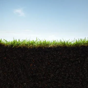 Grass and soil Stock Photos